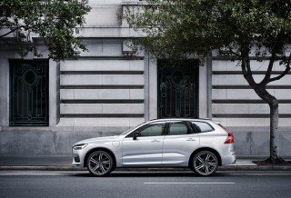Volvo Car Under Tree